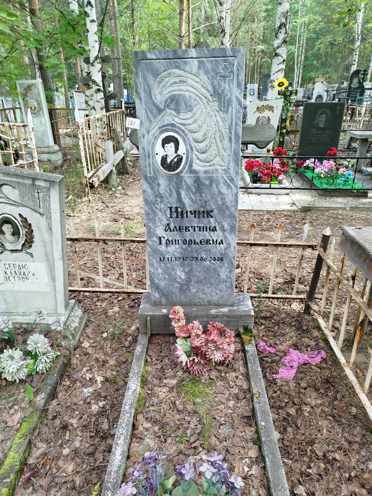 Ничик Алевтина Григорьевна