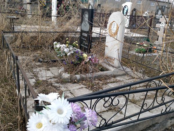Булгаков Владимир Петрович
