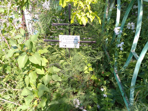 Смолякова Клавдия Лаврентьевна