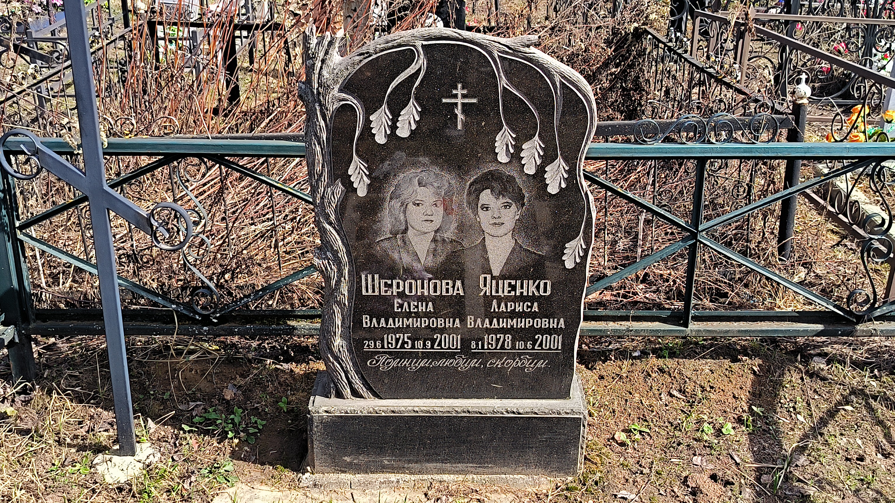 Яценко Лариса Владимировна