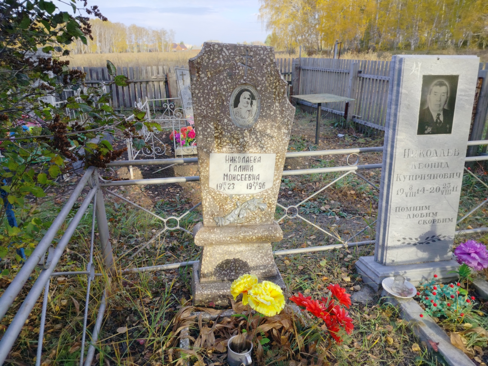 Николаева Галина Моисеевна