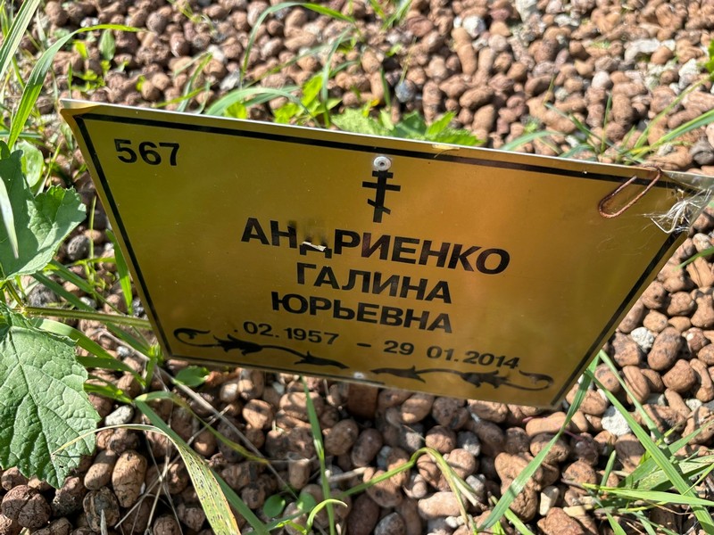 Андриенко