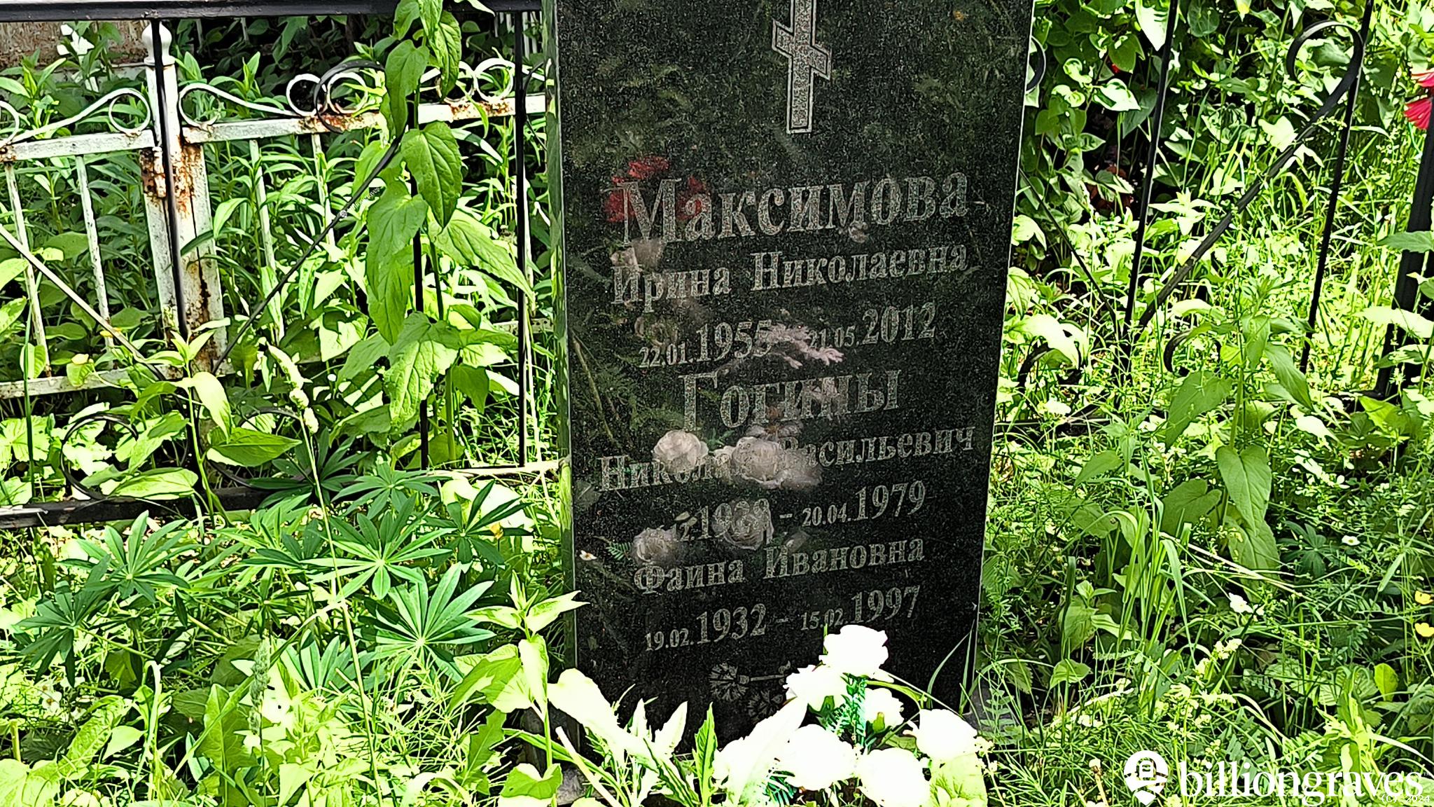 Гогин Николай Васильевич