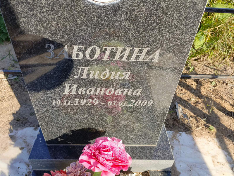 Заботина