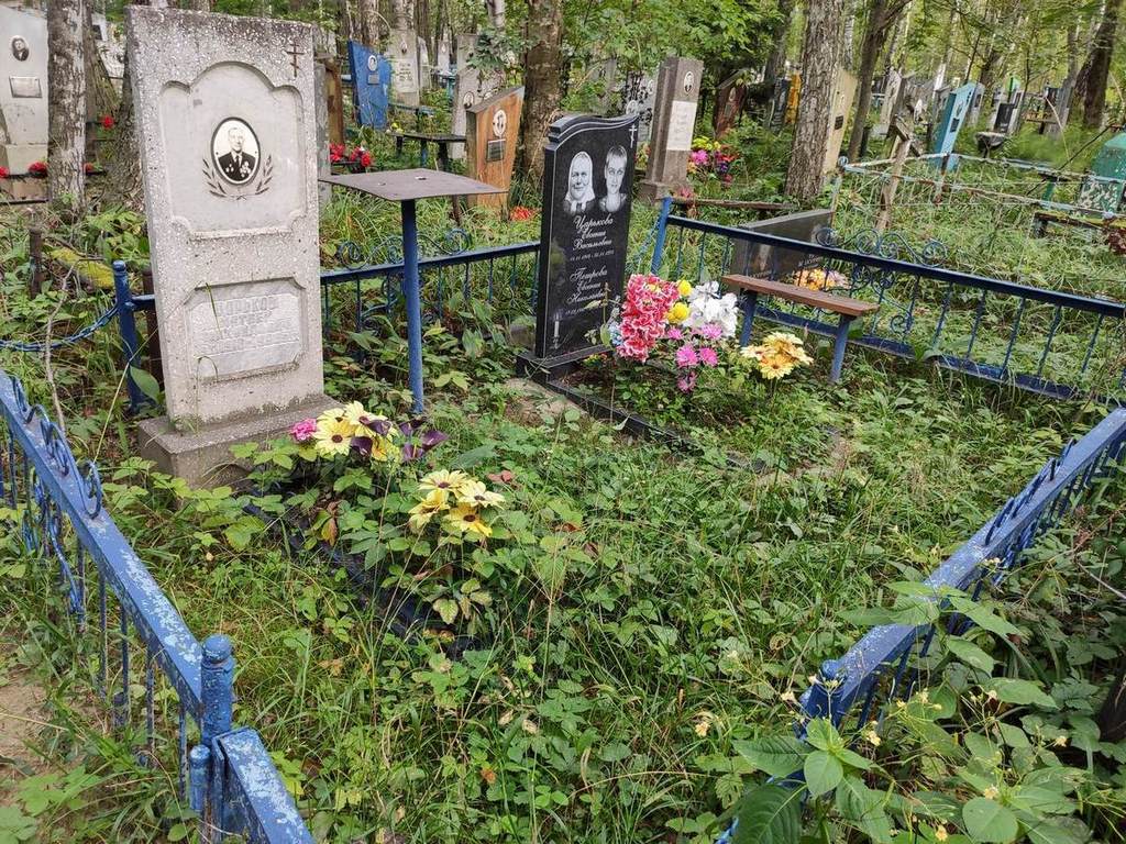Царьков Матвей Михайлович
