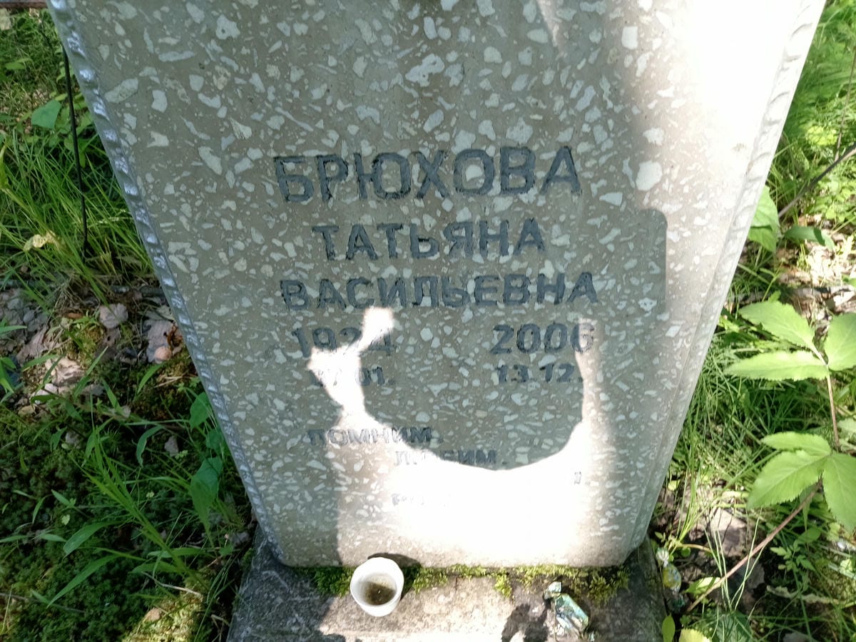 Брюхова Татьяна Васильевна