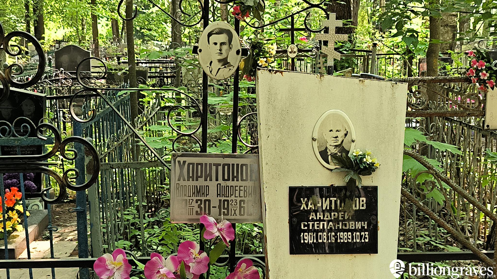 Харитонова Анна Николаевна