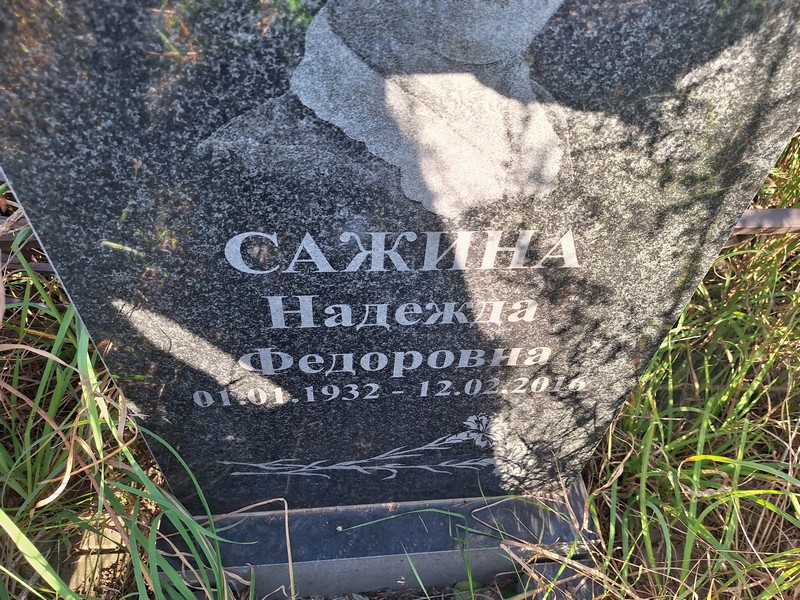 Сажина