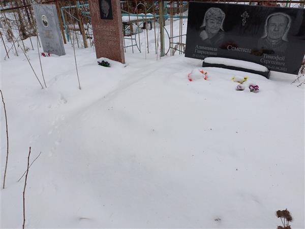 Семенец Алимпиада Гавриловна