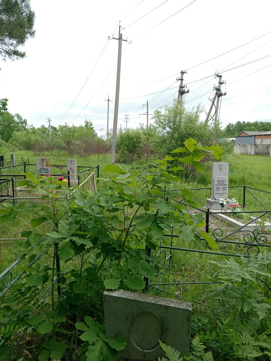 Ведерникова Кристина Юрьевна