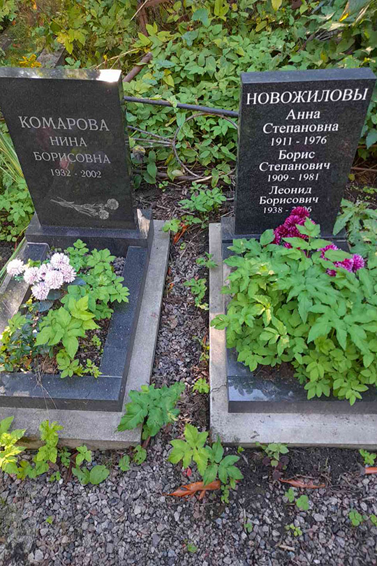 Комарова Нина Борисовна