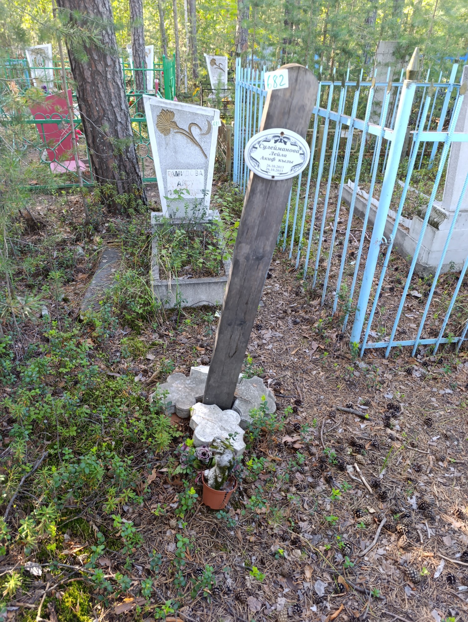Сулейманова Лейла АкифКызы