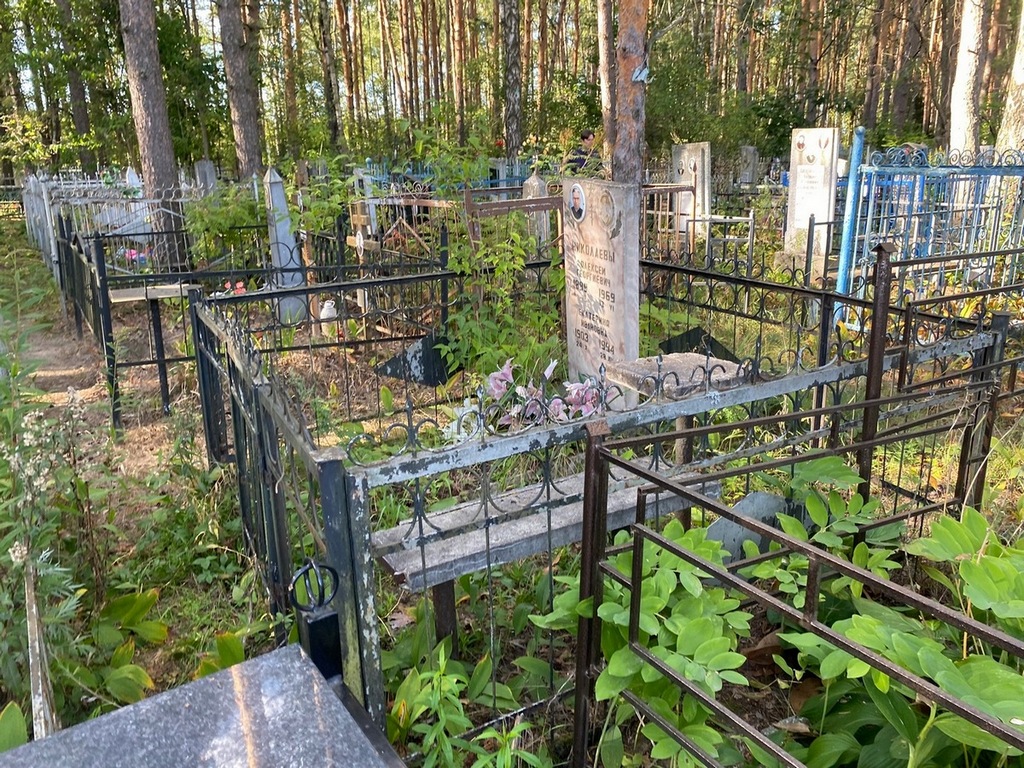 Николаев Алексей Георгиевич