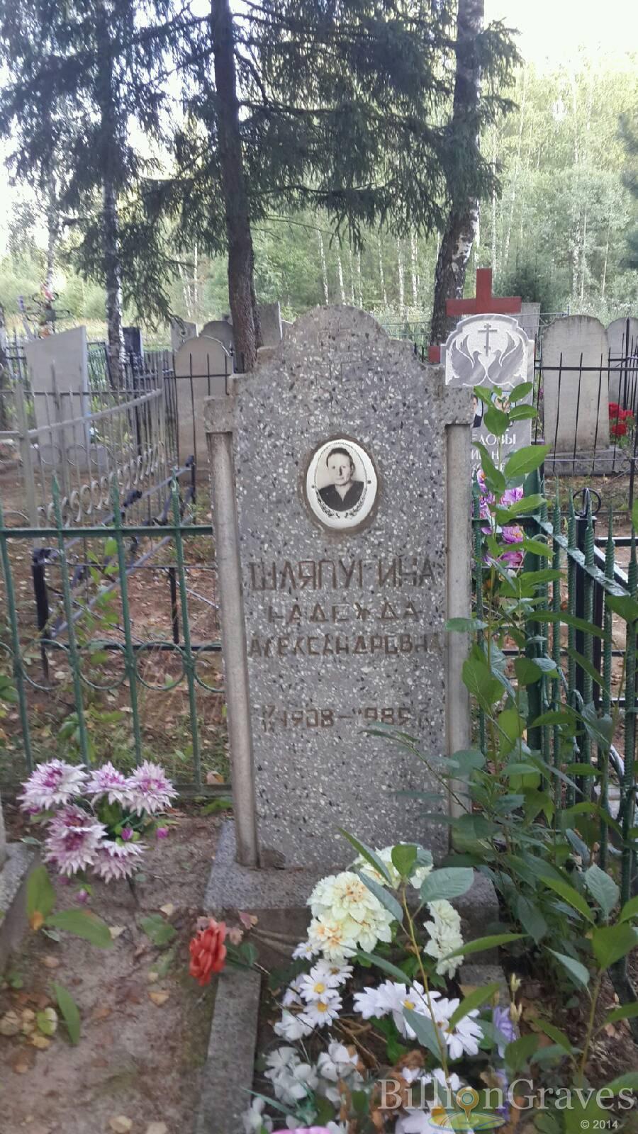 Шляпугина Надежда Александровна