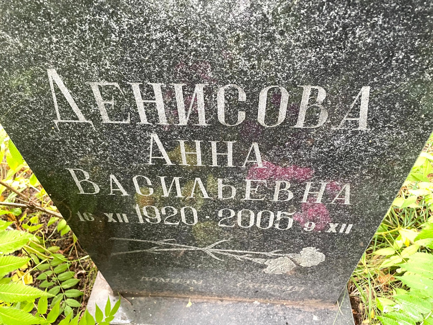 Денисова