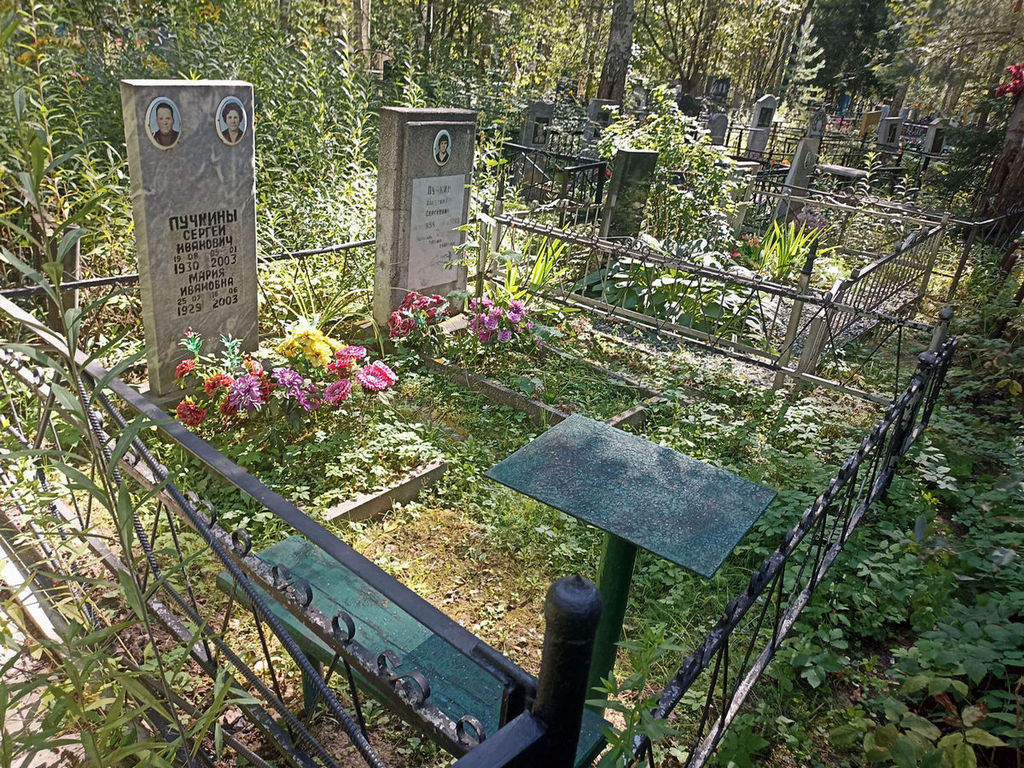 Пучкин Сергей Иванович