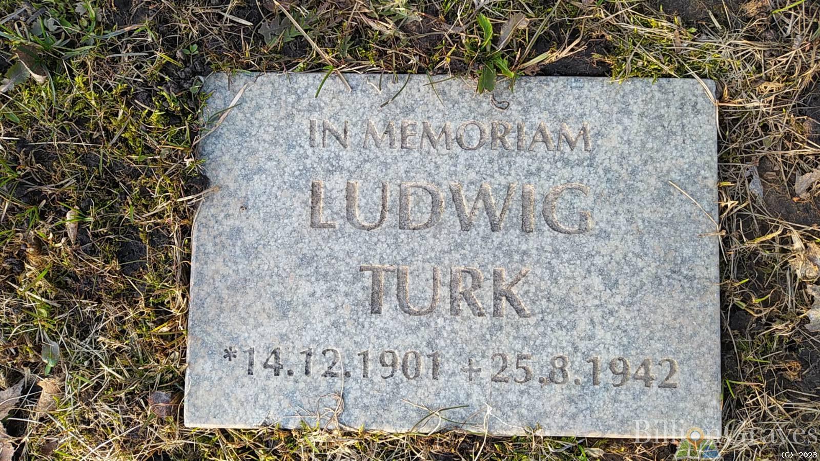 Turk Ludwig
