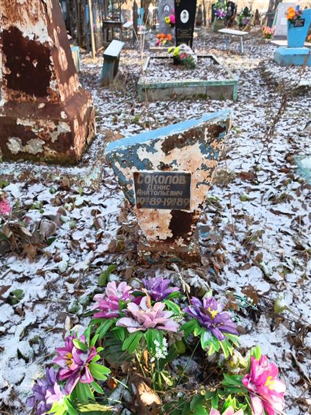Соколов Денис Анатольевич