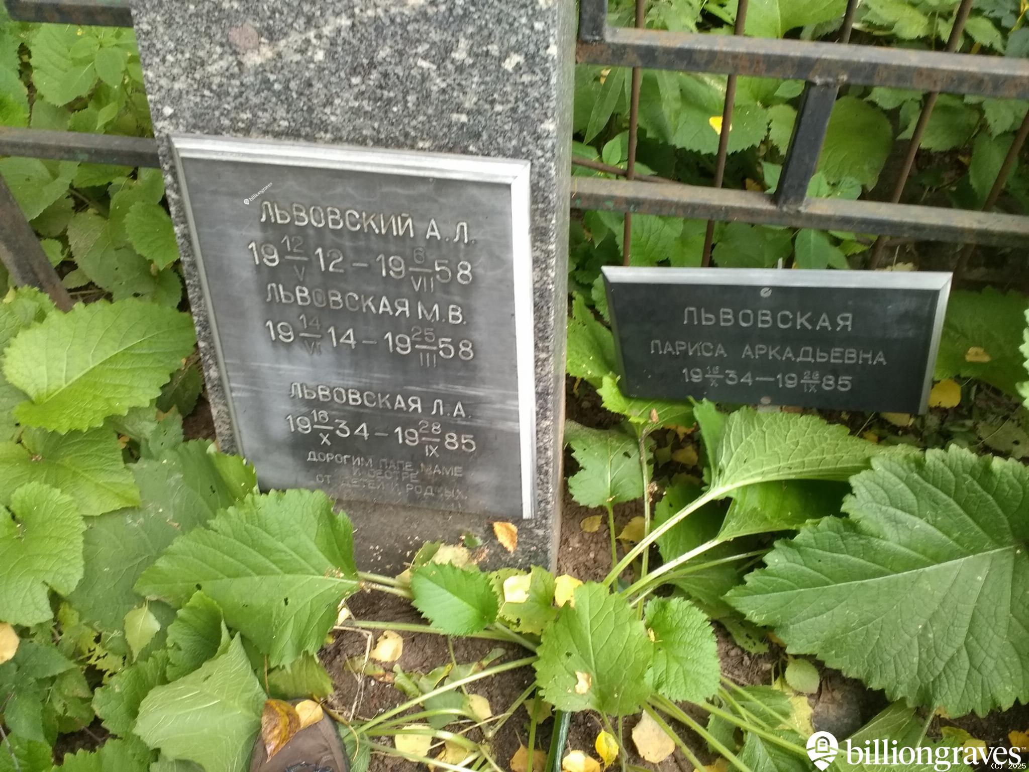 Львовский А. Л.