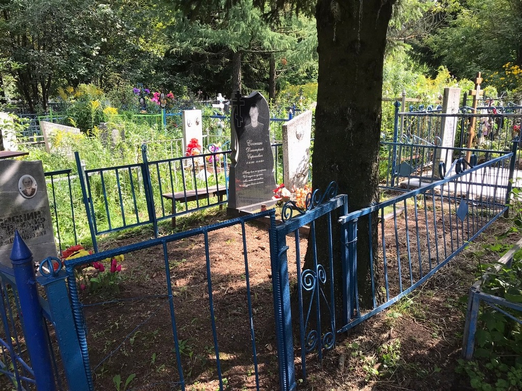 Соснин Дмитрий Сергеевич