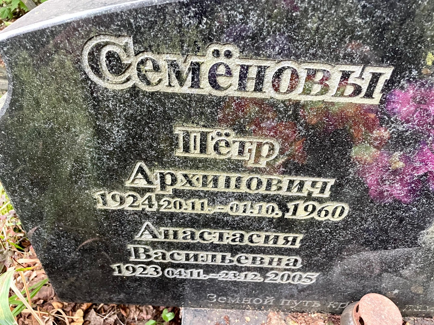 Семенова Анастасия Васильевна