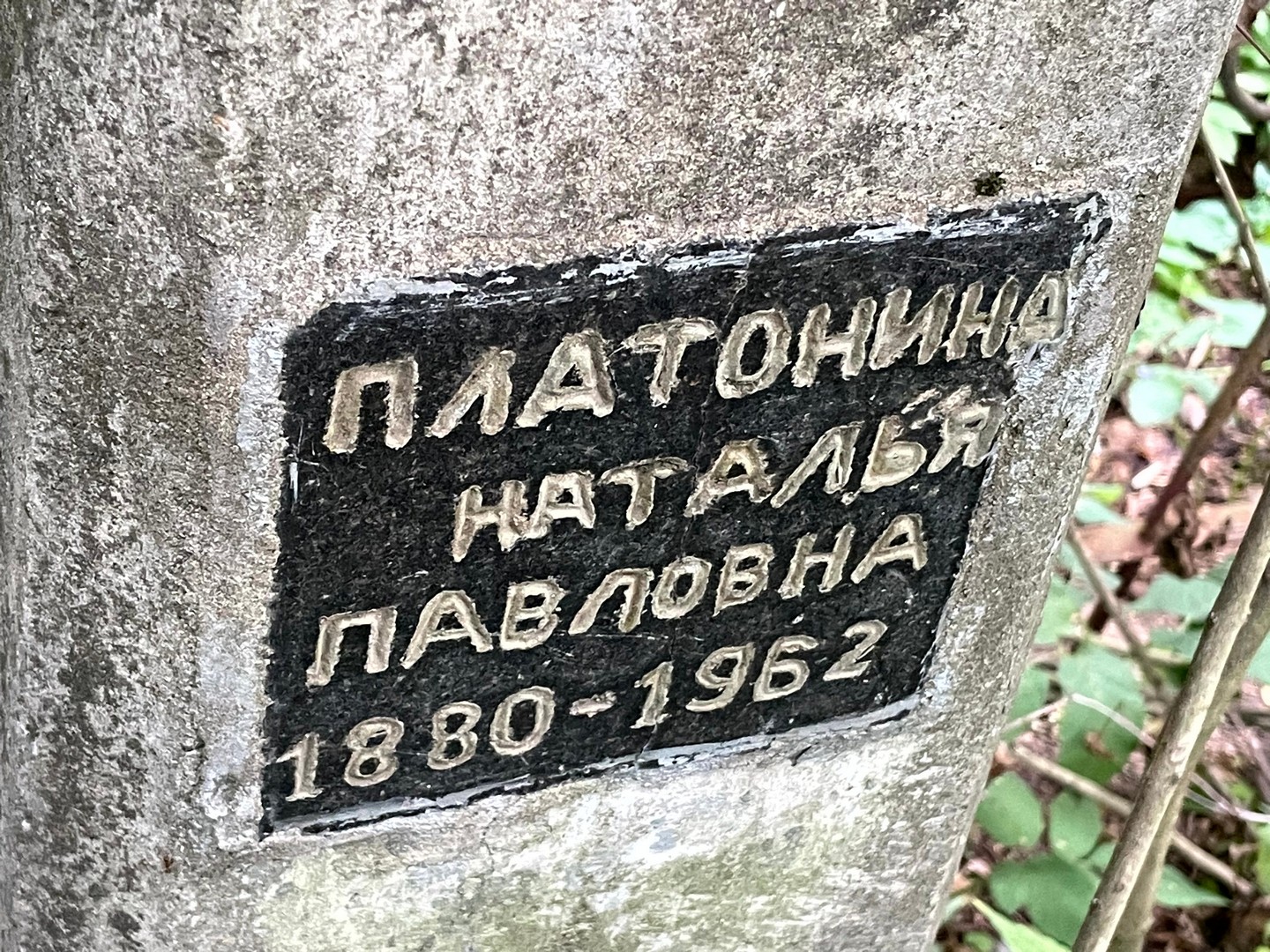 Платонина