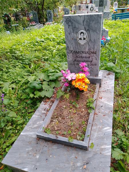 Колесникова Наталья Леонидовна