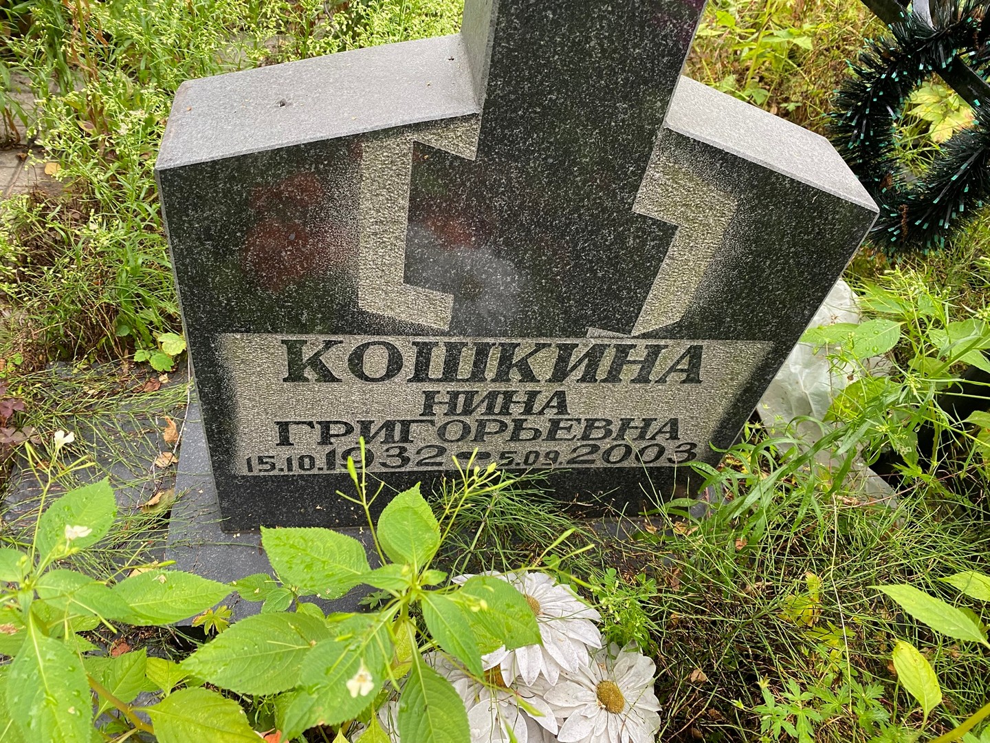 Кошкина