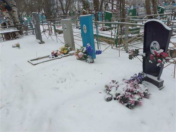 Сунцова Анастасия Алексеевна