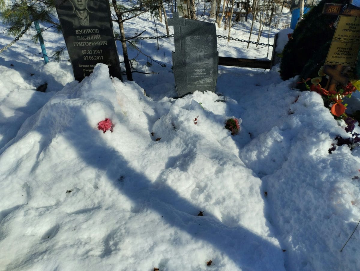 Тюленева Дарья Геннадьевна