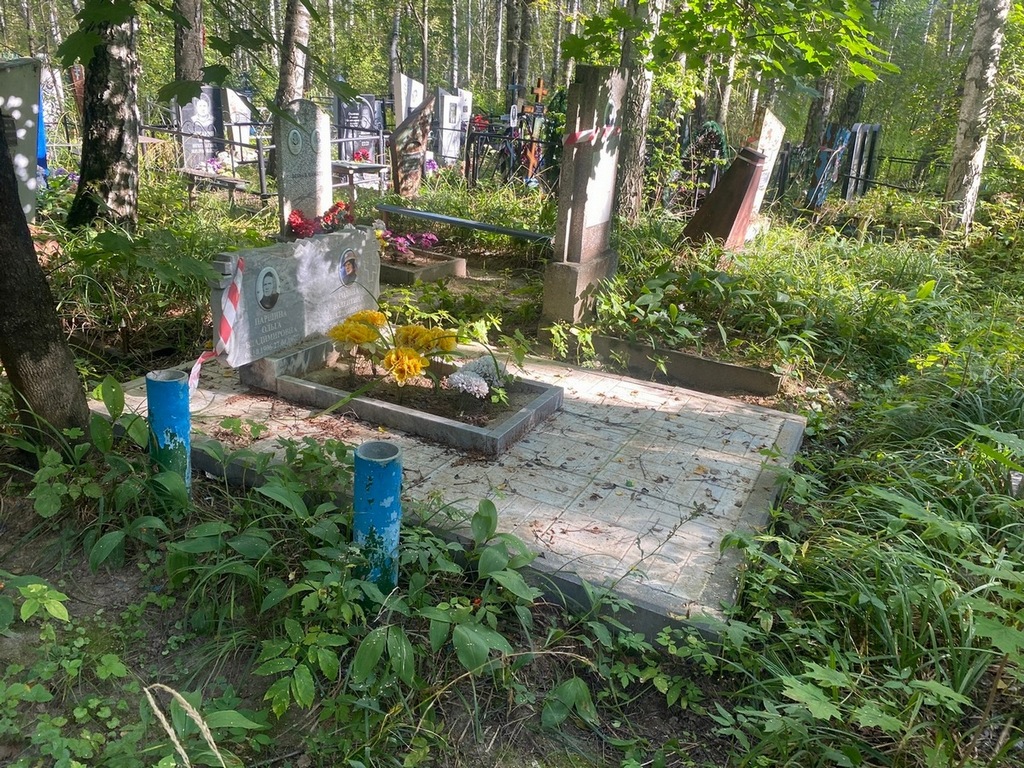 Родина Валентина Владимировна