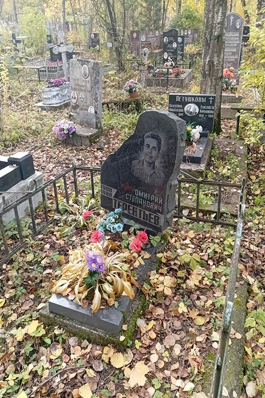 Терентьев Дмитрий Степанович