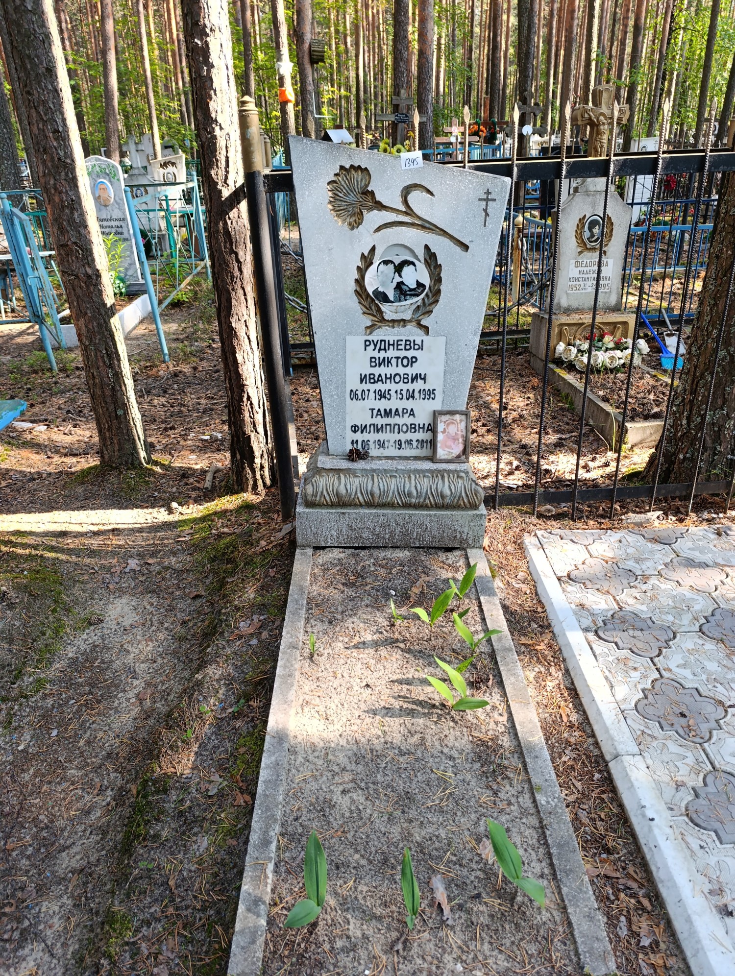 Руднев Виктор Иванович