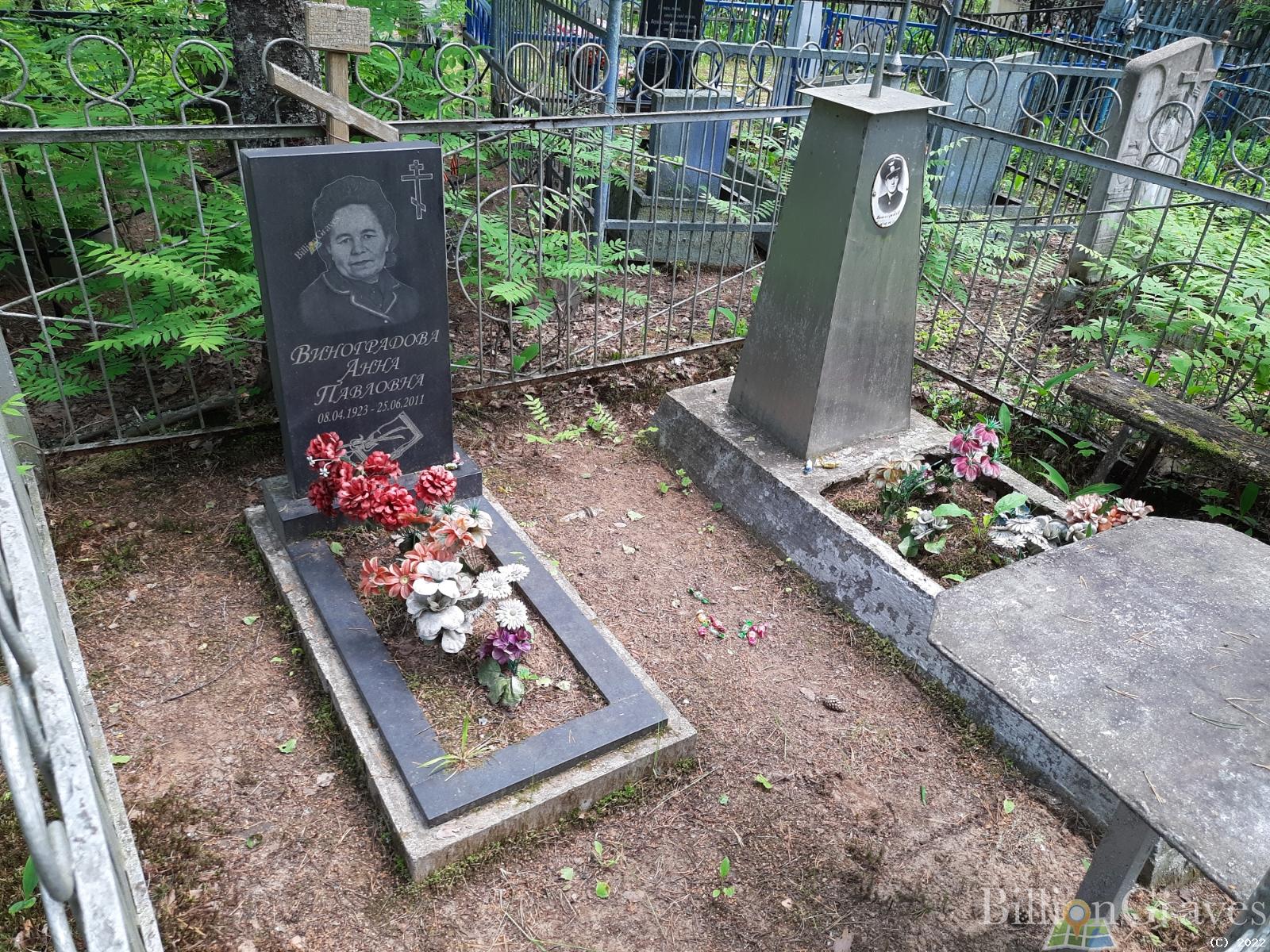 Виноградова Анна Павловна