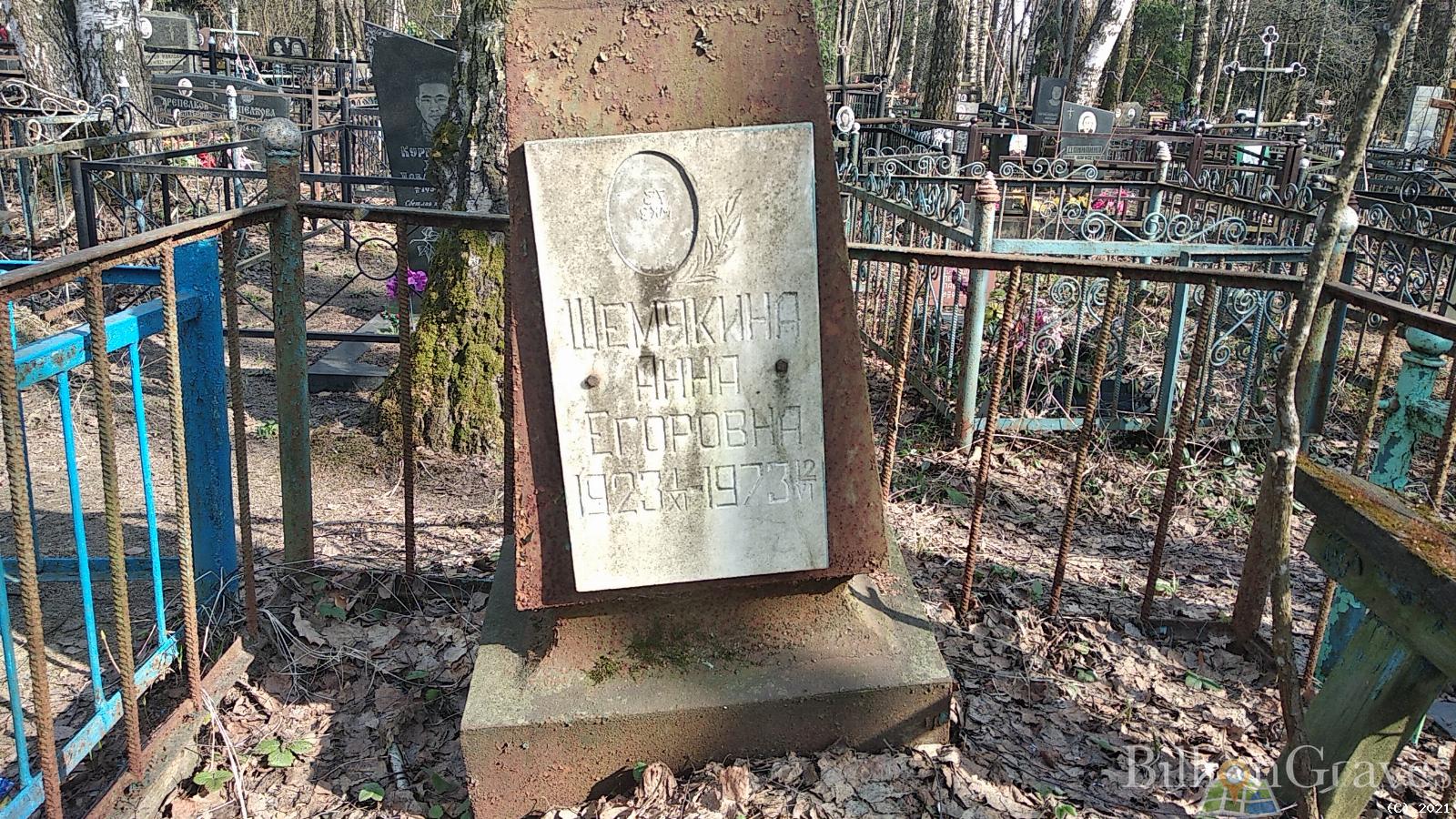 Шемякина Анна Егоровна