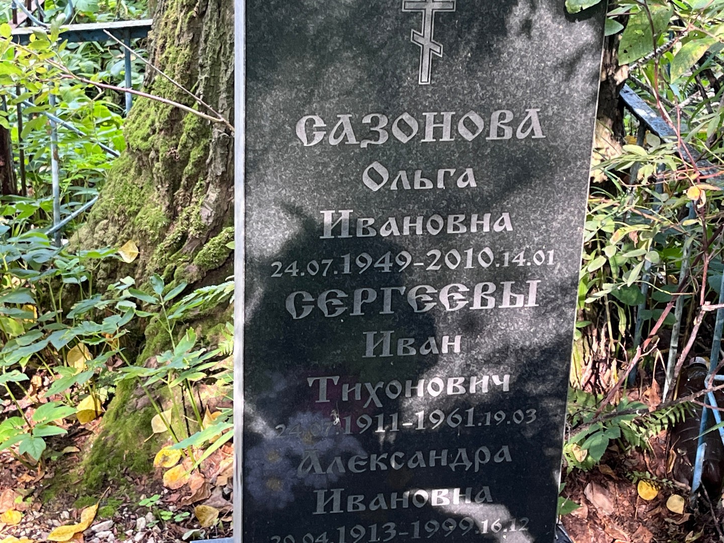 Сазонова