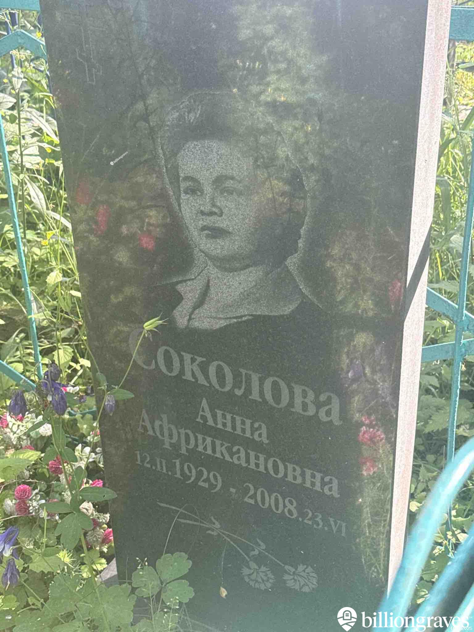 Соколова Анна Африкановна