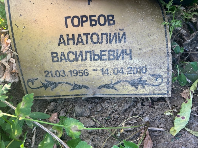 Горбов