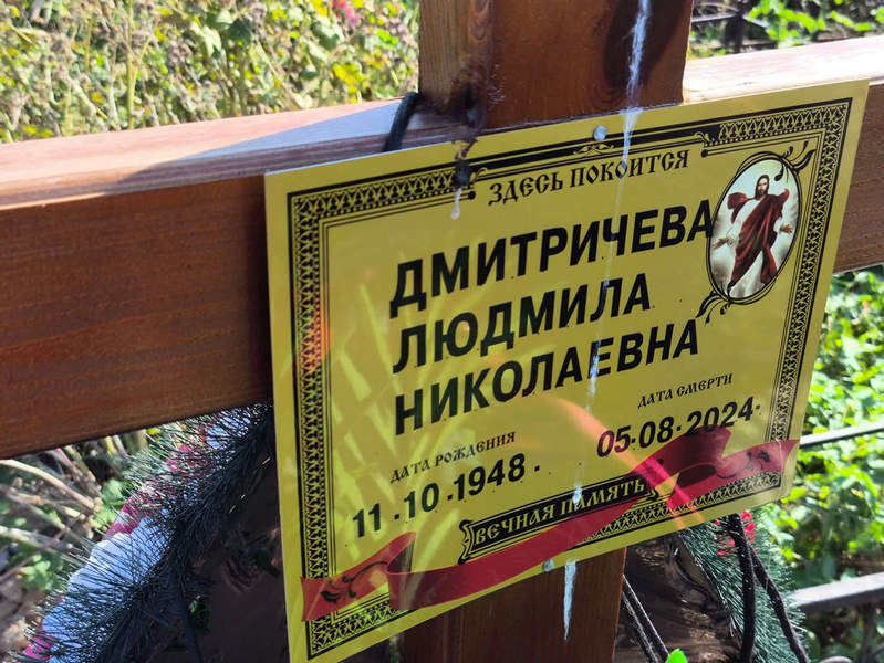 Дмитричева