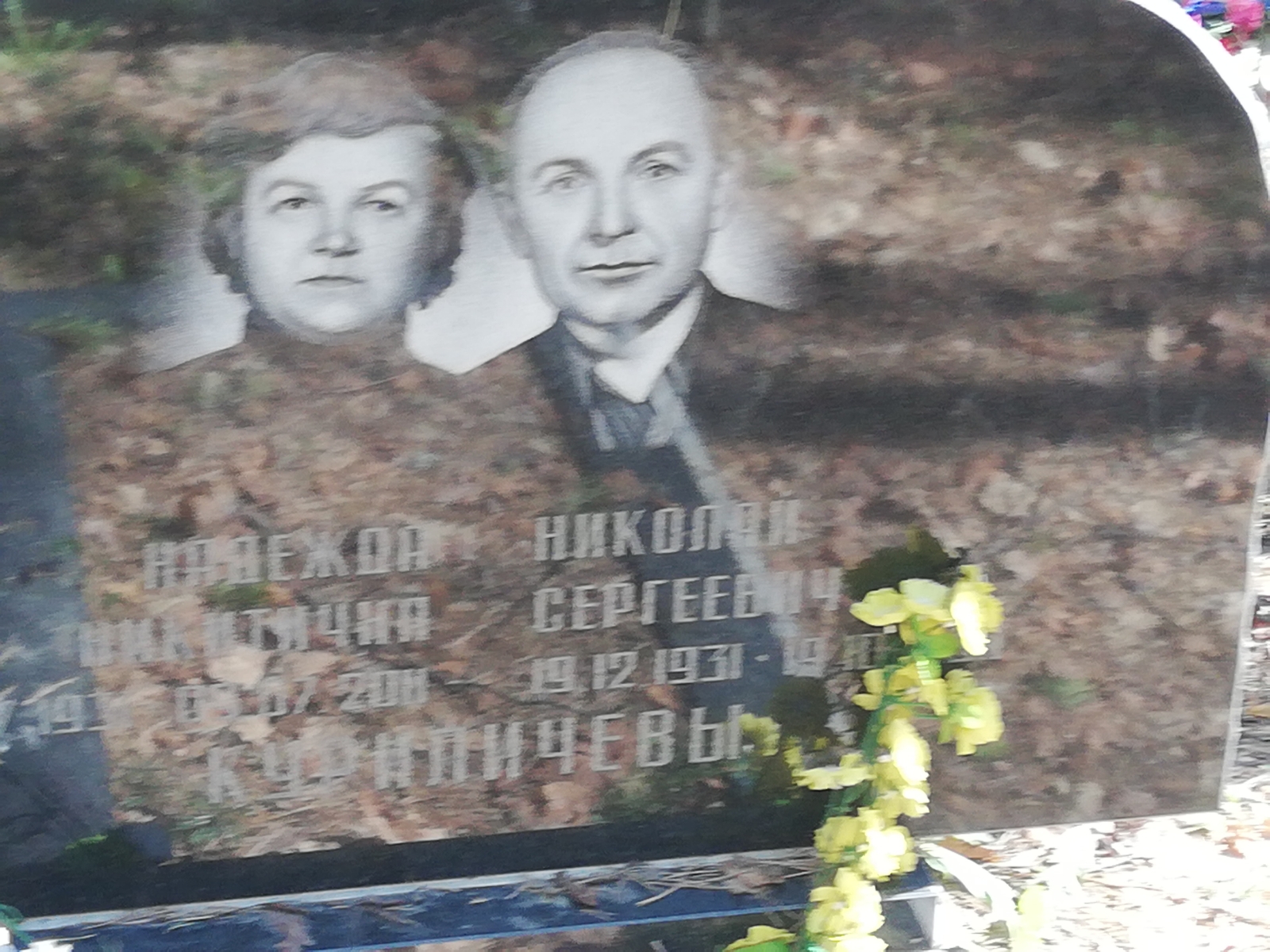 Куриличев Николай Сергеевич