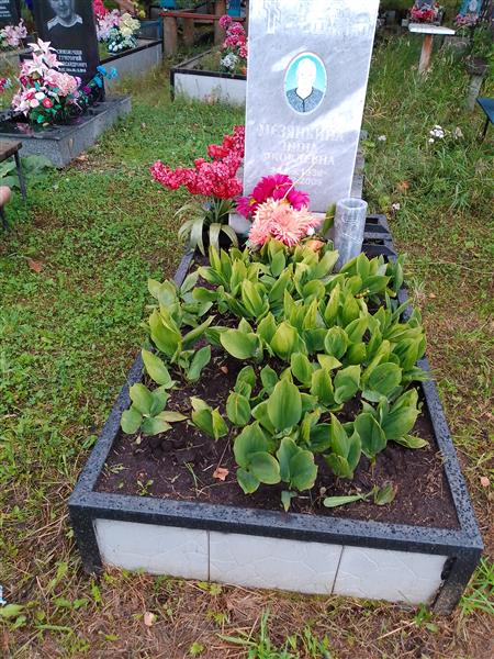 Мезянкина Нина Яковлевна