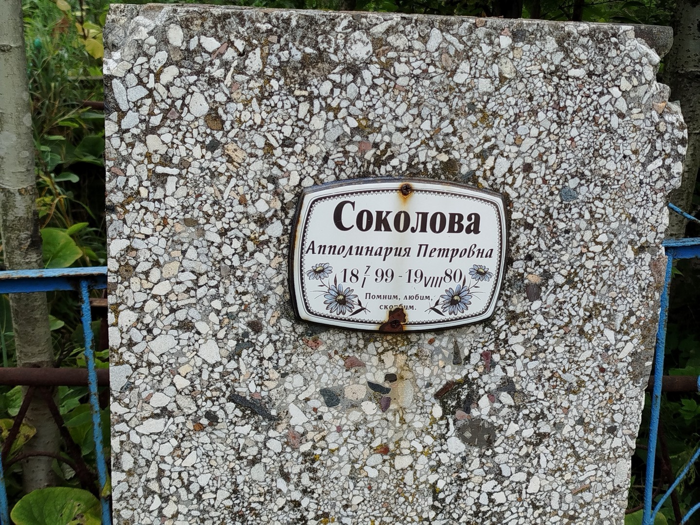 Апполинария Соколова Петровна