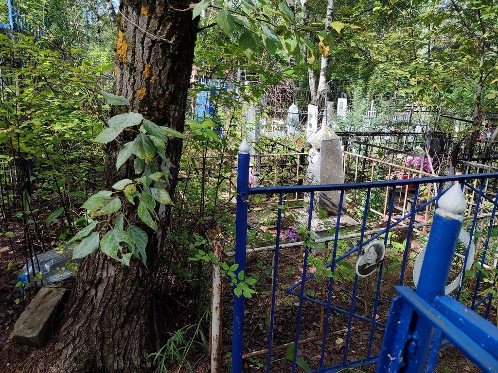 Коровина Енафия Васильевна