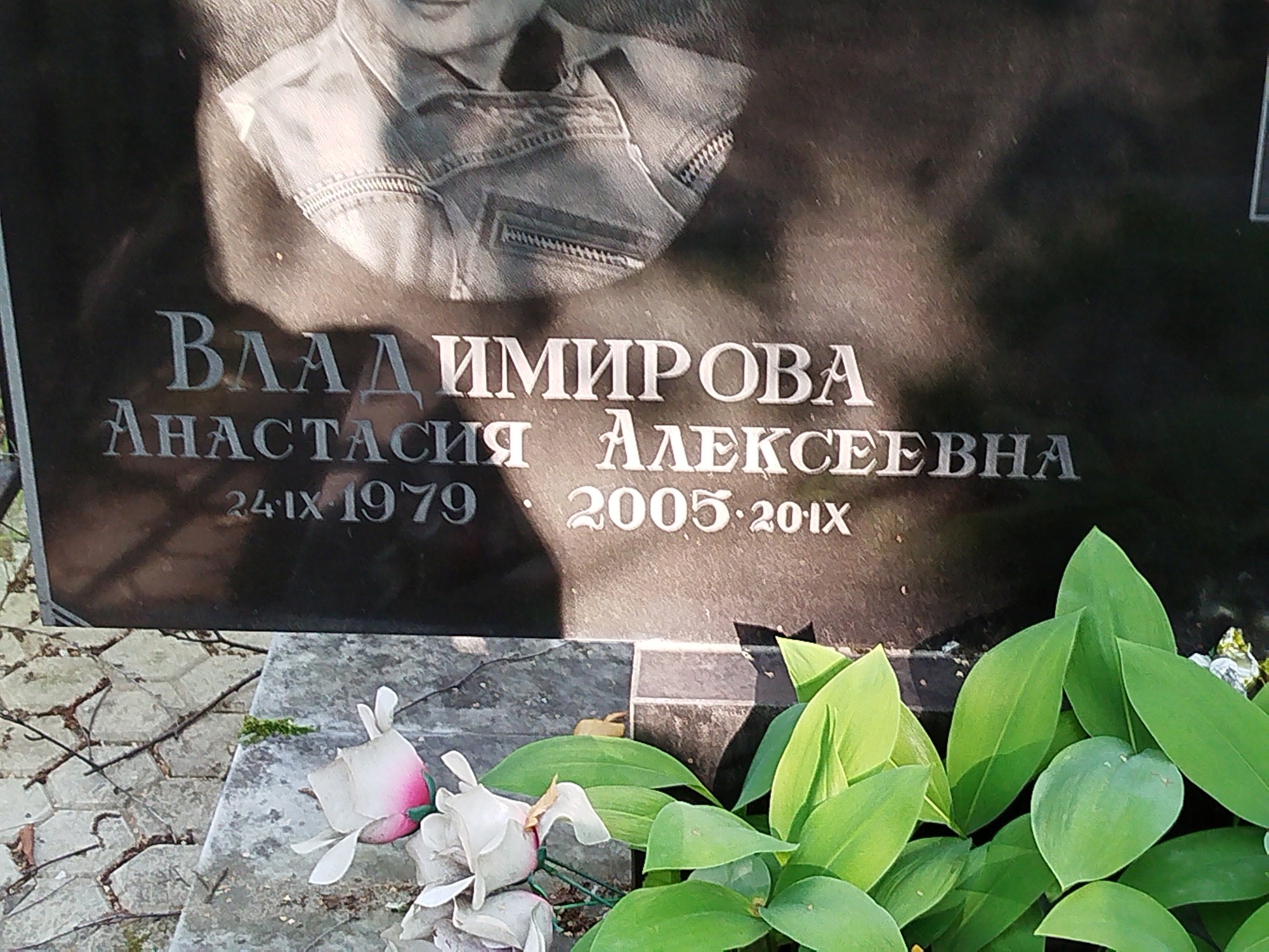 Владимирова Анастасия Алексеевна