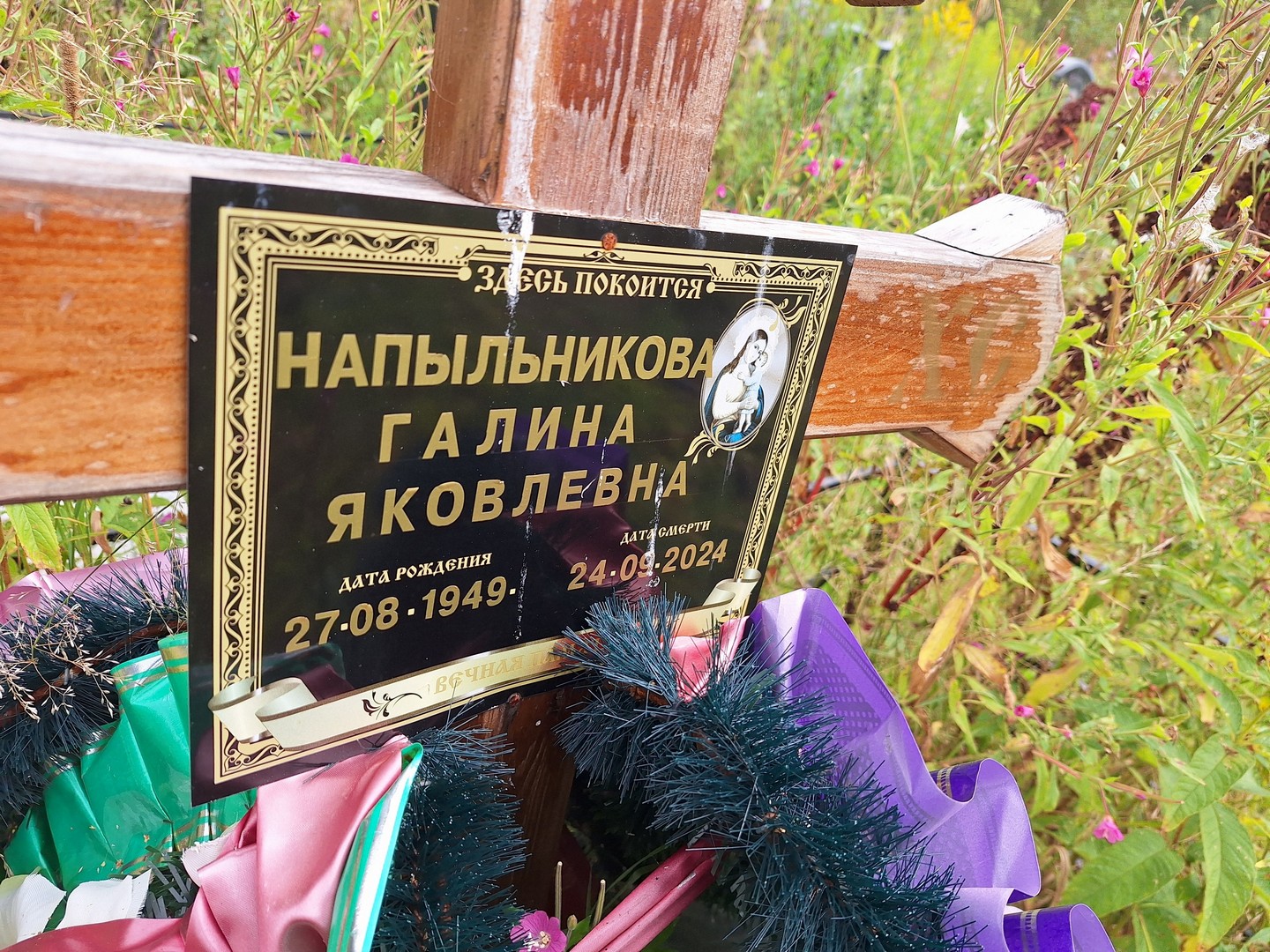 Напыльникова