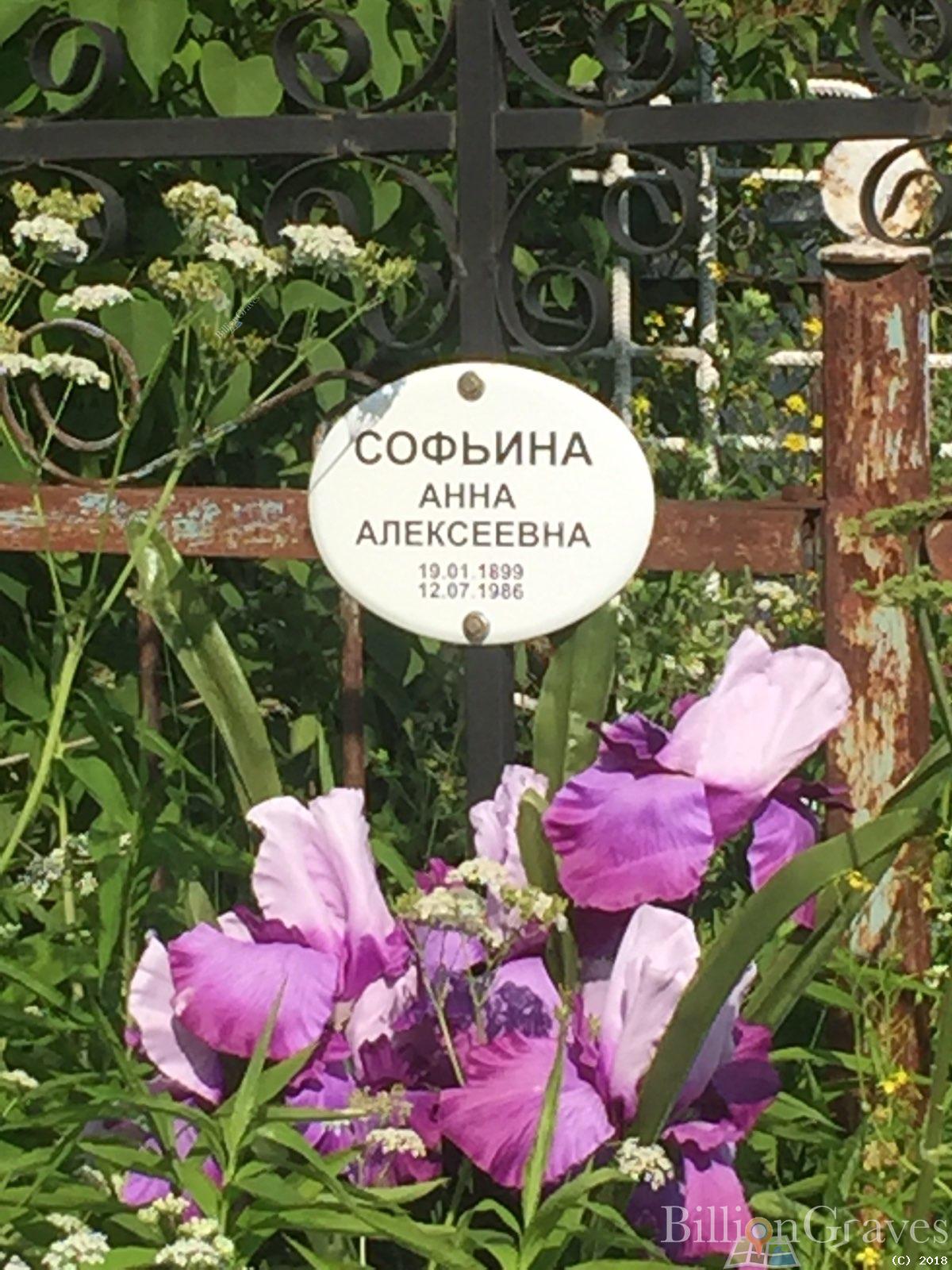 софьина анна алексеевна