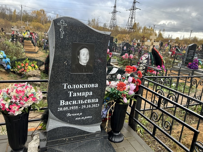 Толокнова