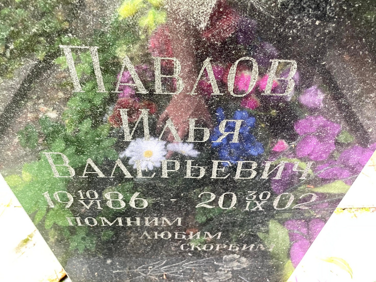 Павлов