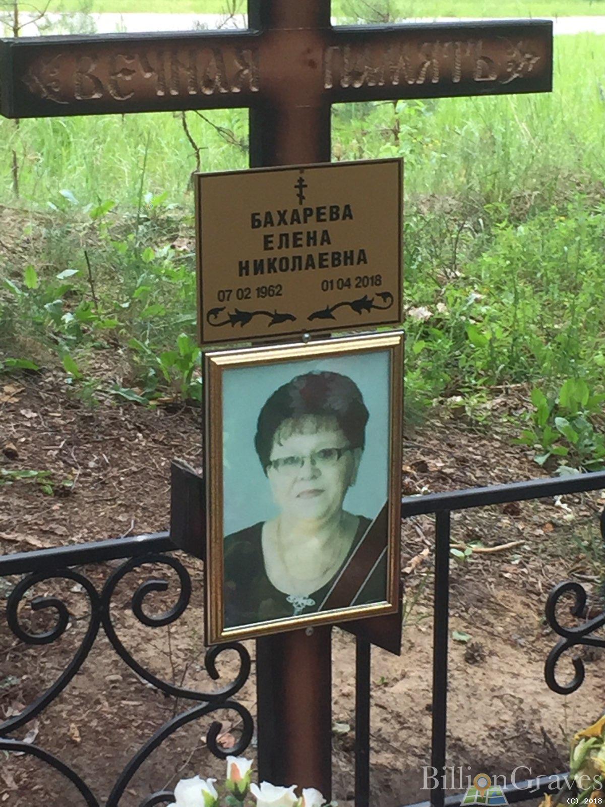 бахарева елена николаевна