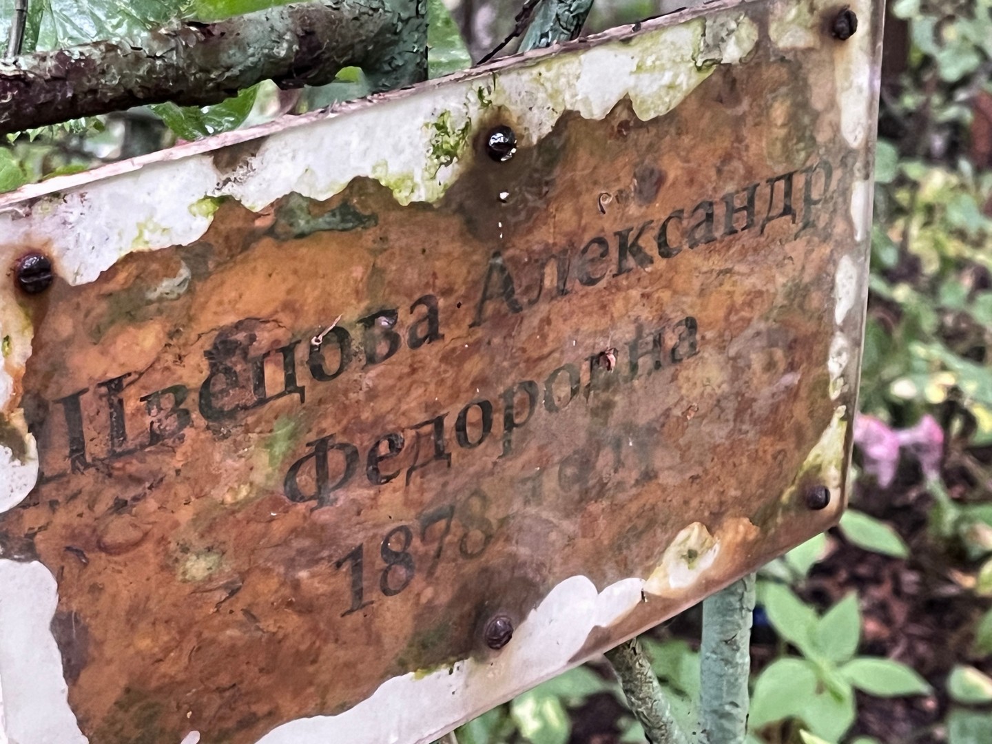 Щвецова Александра Федоровна